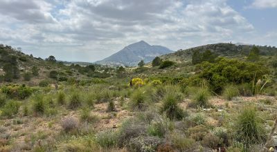 Land - Sale - Hondón de las Nieves - Hondón de las Nieves