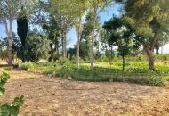 Venta - Villa - Crevillente - Crevillent