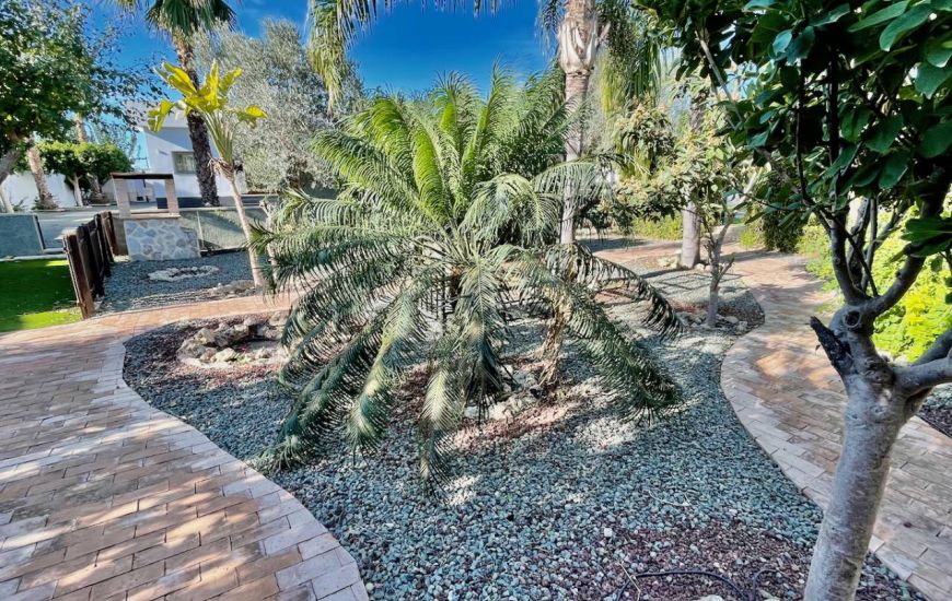 Sale - Villa - Almoradí - Almoradi