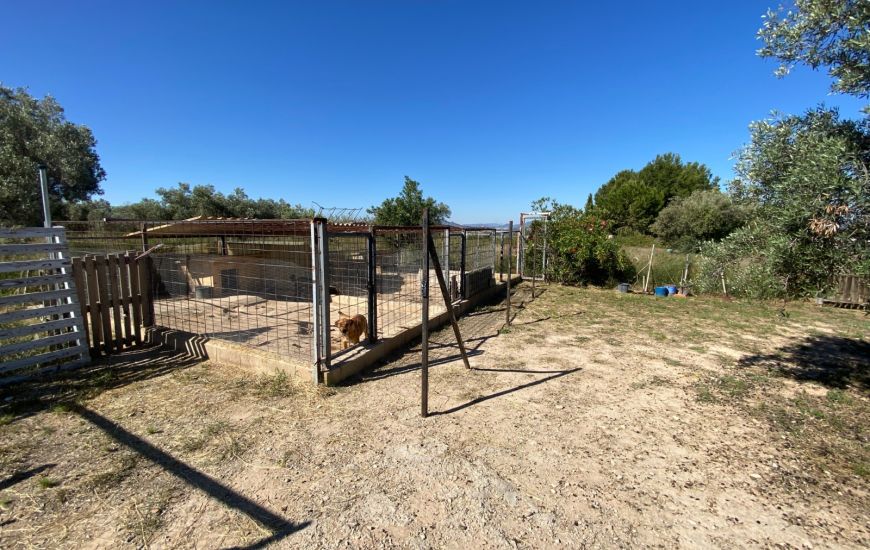 Sale - Country Property - Sax