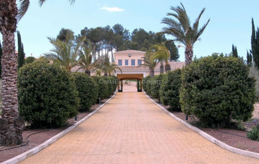 Venta - Villa - Penàguila