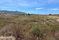 Sale - Land - Abanilla