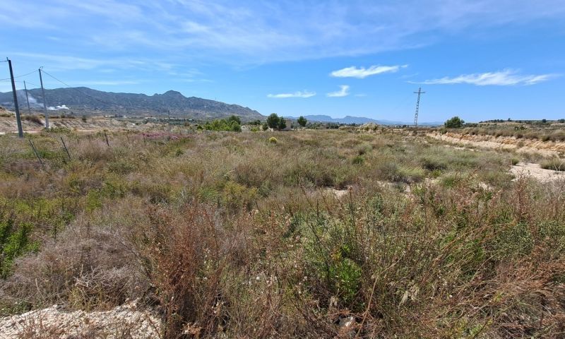 Sale - Land - Abanilla