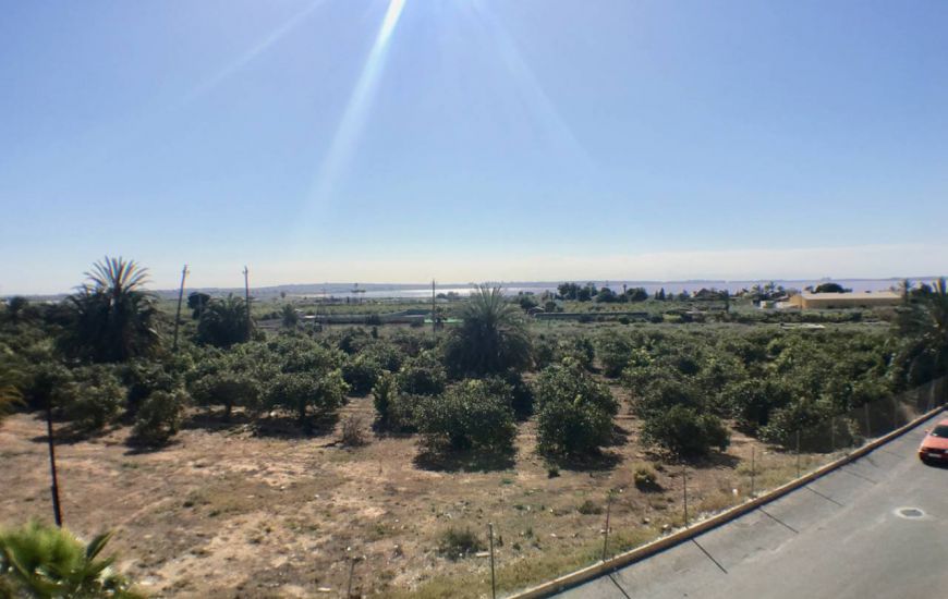 Nueva construcción  - Apartamentos - Los Montesinos