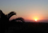 Sale - Apartments - Los Dolses