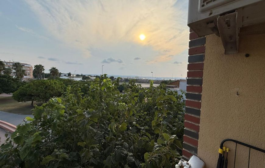 Venta - Apartamentos - Torrevieja