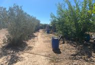 Sale - Finca - Salinas