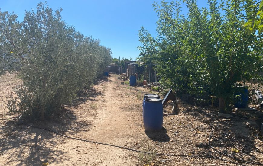 Sale - Finca - Salinas