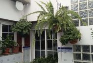 Sale - Villa - 