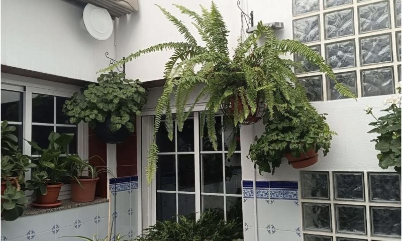 Sale - Villa - 