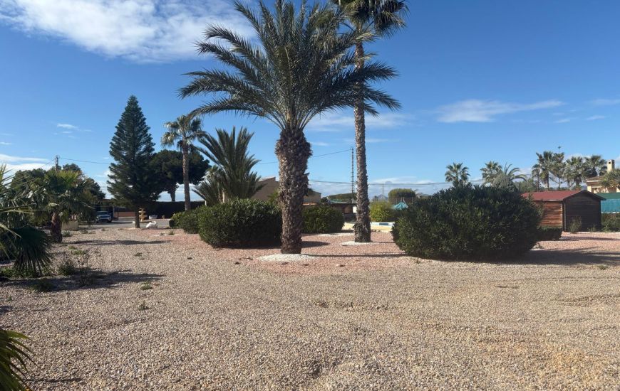 Venta - Villa - Albatera