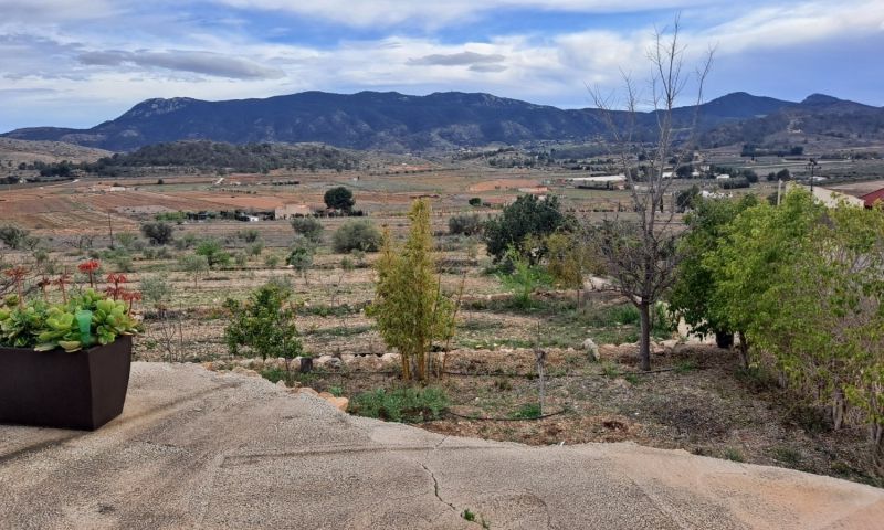 Sale - Country Property - Hondón de las Nieves