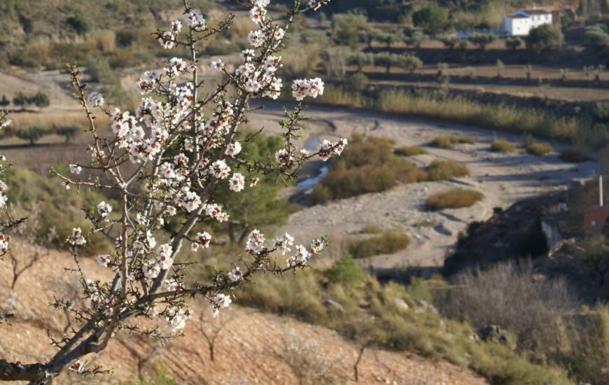 Sale - Land - Murcia