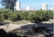 Sale - Villa - 