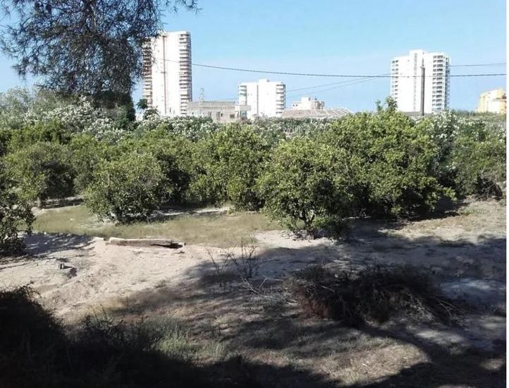 Sale - Villa - 