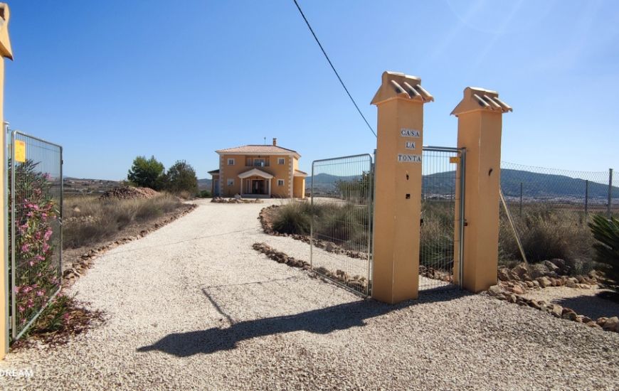 Sale - Finca - Pinoso