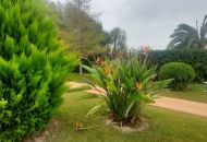 Sale - Villa - Hondón de las Nieves