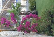 Sale - Apartments - 