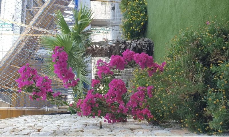 Sale - Apartments - 