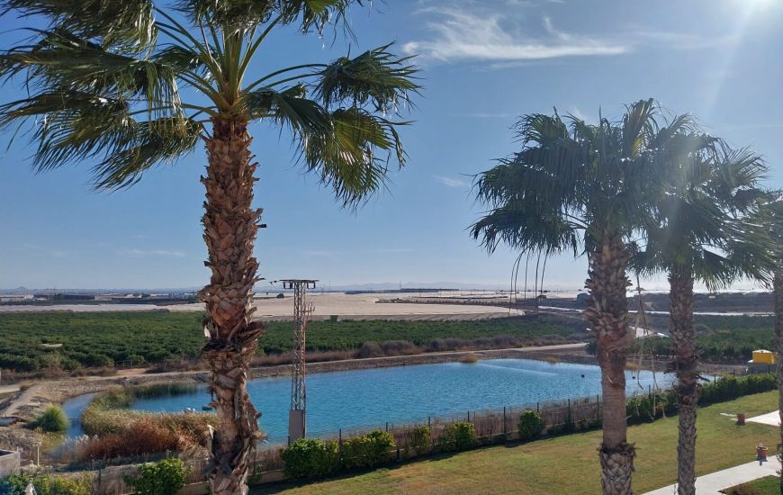 Sale - Apartments - Pilar de la Horadada