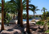 Sale - Finca Country Property - Daya Vieja