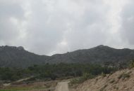 Sale - Land - Novelda