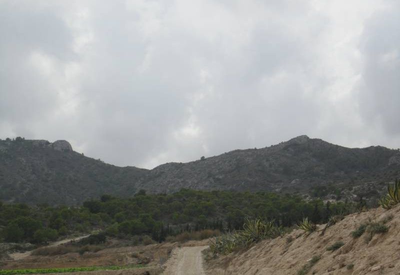 Sale - Land - Novelda