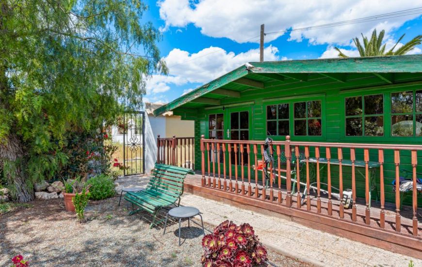 Sale - Finca - Catral