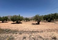 Sale - Land - Hondon de los Frailes