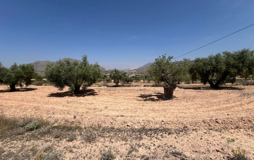 Sale - Land - Hondon de los Frailes