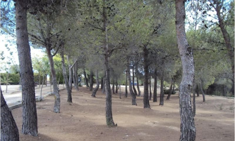 Sale - Villa - Venta Del Moro
