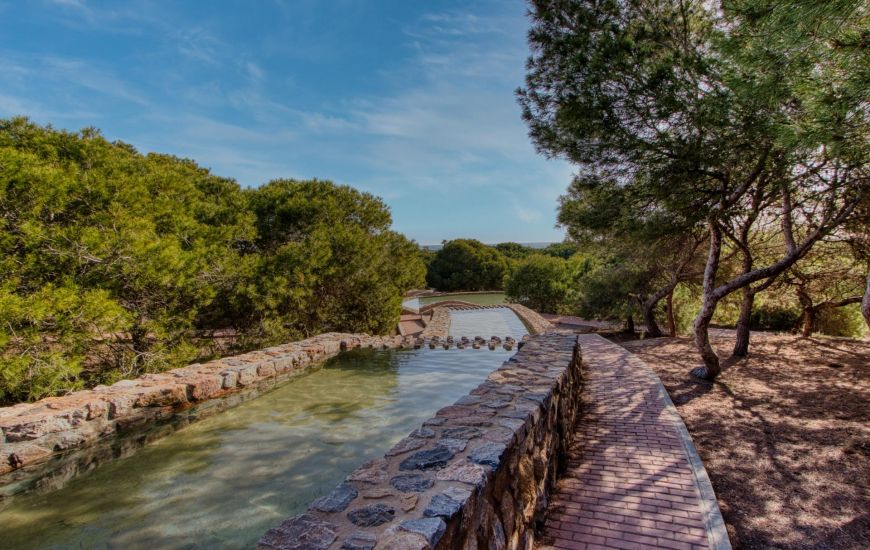 Sale -  - Torrevieja - 