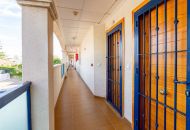 Sale - Apartments - La Zenia