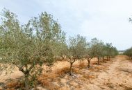 Sale - Villa - Hondon de los Frailes