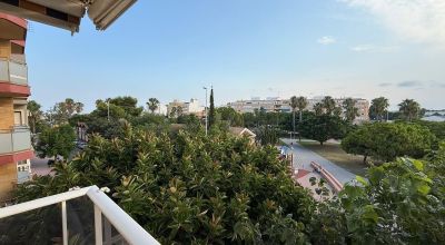 Apartments - Sale - Torrevieja - Torrevieja