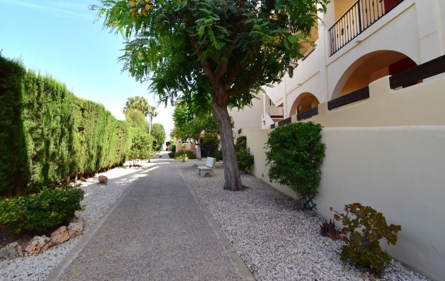 Venta - Apartamentos - Orihuela Costa