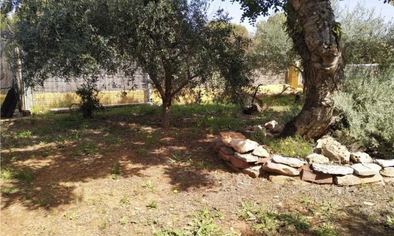 Sale - Villa - Onda