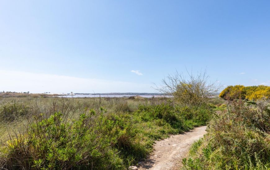 Sale - Bungalow - Torrevieja