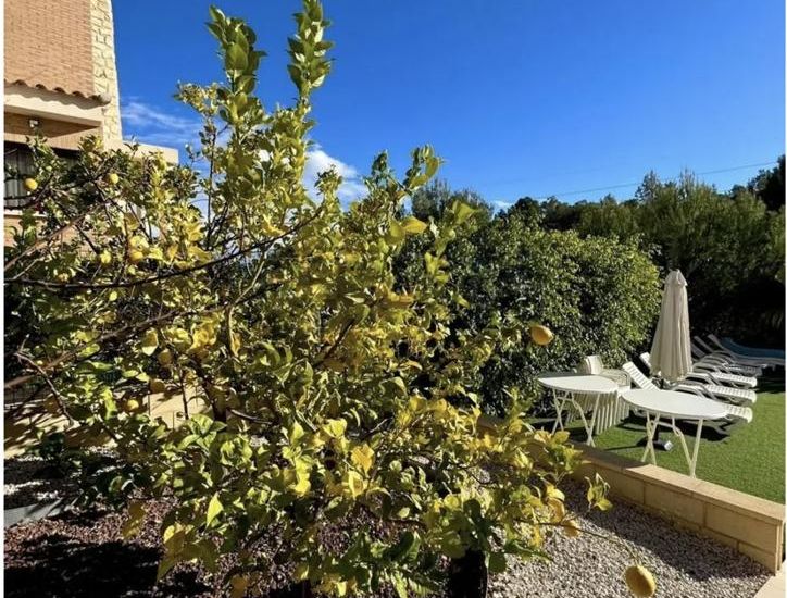 Venta - Villa - Coloma