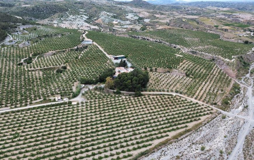 Venta - Terreno - Puerto Lumbreras