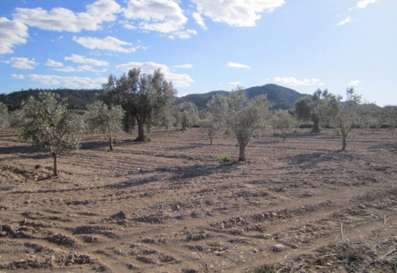 Venta - Casa Rural - Salinas