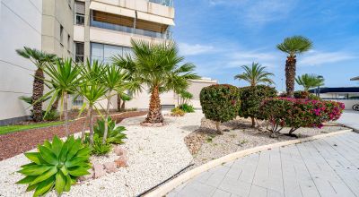 Apartament - Sale - Los Dolses - Los Dolses