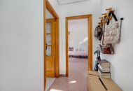 Venta - Apartamento - Torrevieja