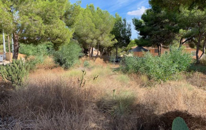 Sale - Land - Algorfa