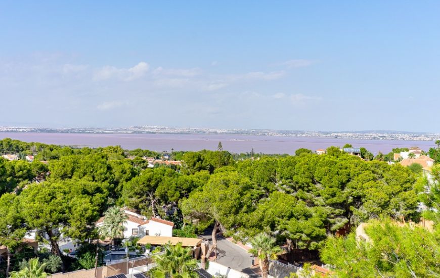 Sale - Villa - Los Balcones