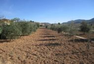 Sale - Finca - Hondon de los Frailes