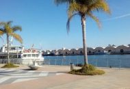 Sale - Apartments - 