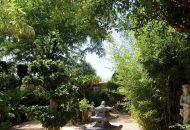 Venta - Apartamentos - 