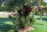 Venta - Villa - Campoamor
