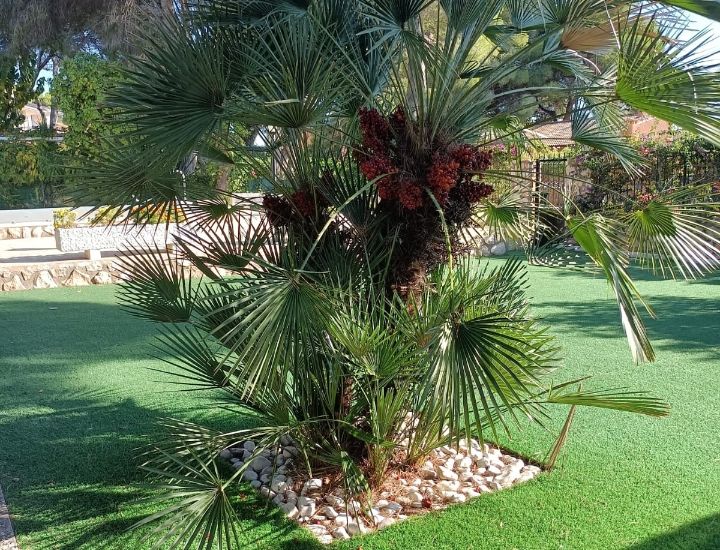 Venta - Villa - Campoamor